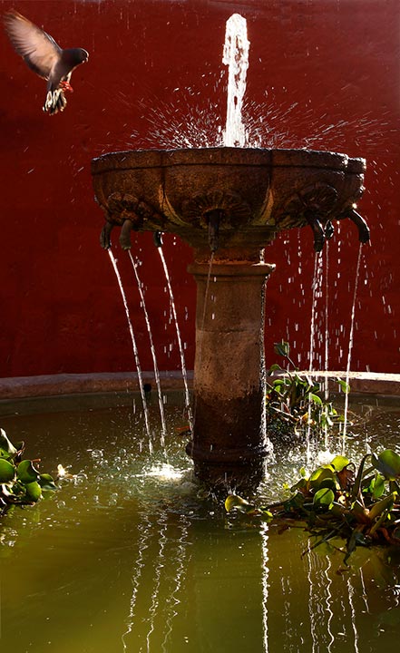 62. Fountain and Bird